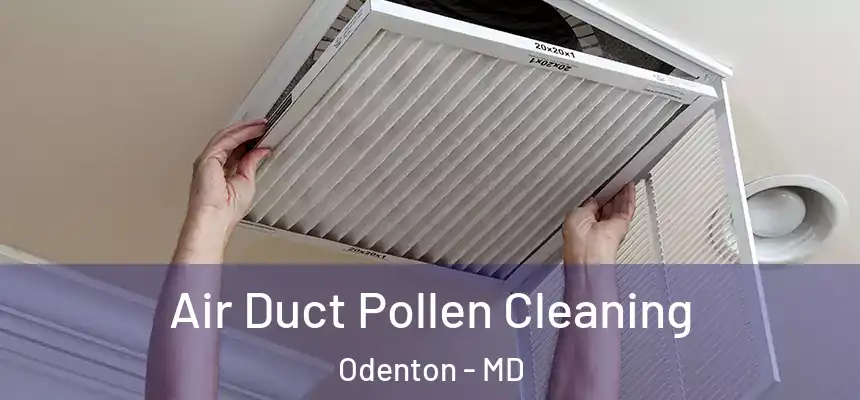  Air Duct Pollen Cleaning Odenton - MD