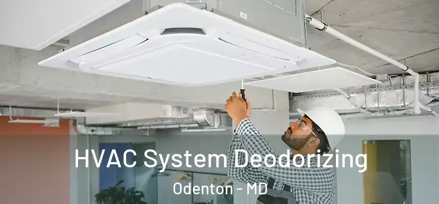  HVAC System Deodorizing Odenton - MD