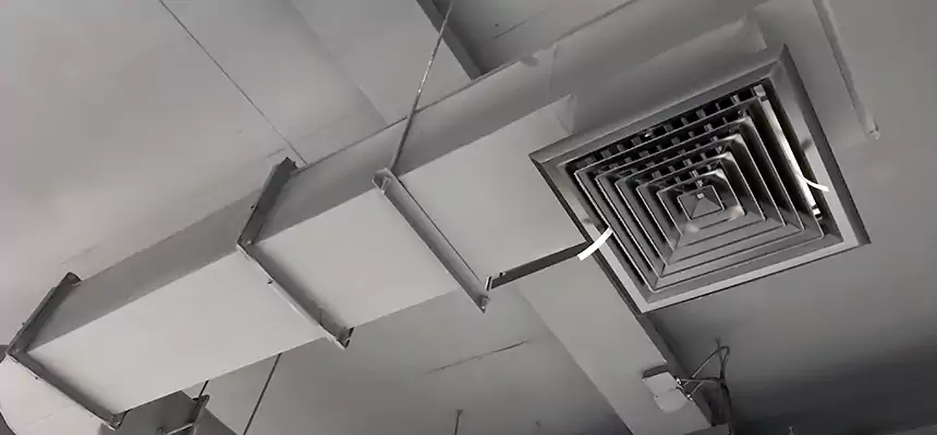 Our Pest Removal From Ducts Services in Odenton, MD