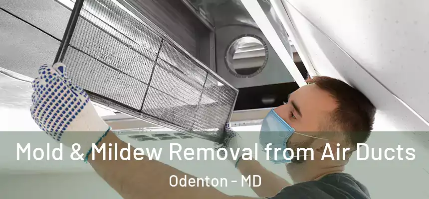  Mold & Mildew Removal from Air Ducts Odenton - MD
