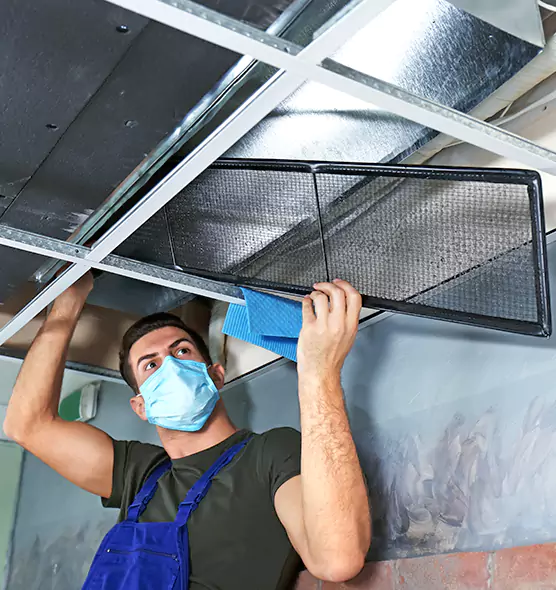 About Air Duct Bacteria Removal in Odenton