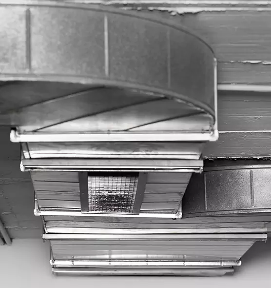 Professional Air Duct Pet Hair Removal in Odenton, MD