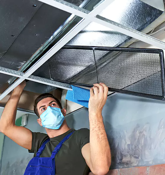 Professional Air Duct Pollen Cleaning in Odenton, MD