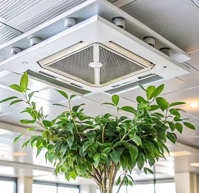 Why Homeowners & Businesses Trust Us in Odenton, MD