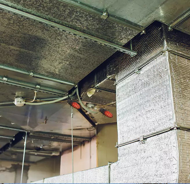 Why Homeowners & Businesses Trust Us Odenton, MD?