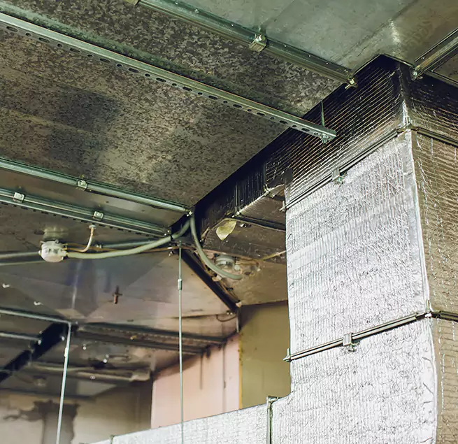 Why Homeowners & Businesses Trust Us in Odenton, MD?