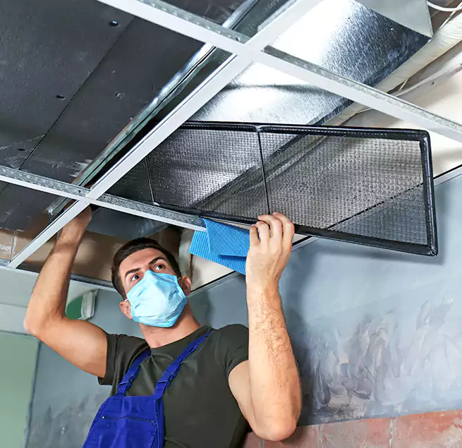 Why Homeowners Businesses Trust Us in Odenton, MD